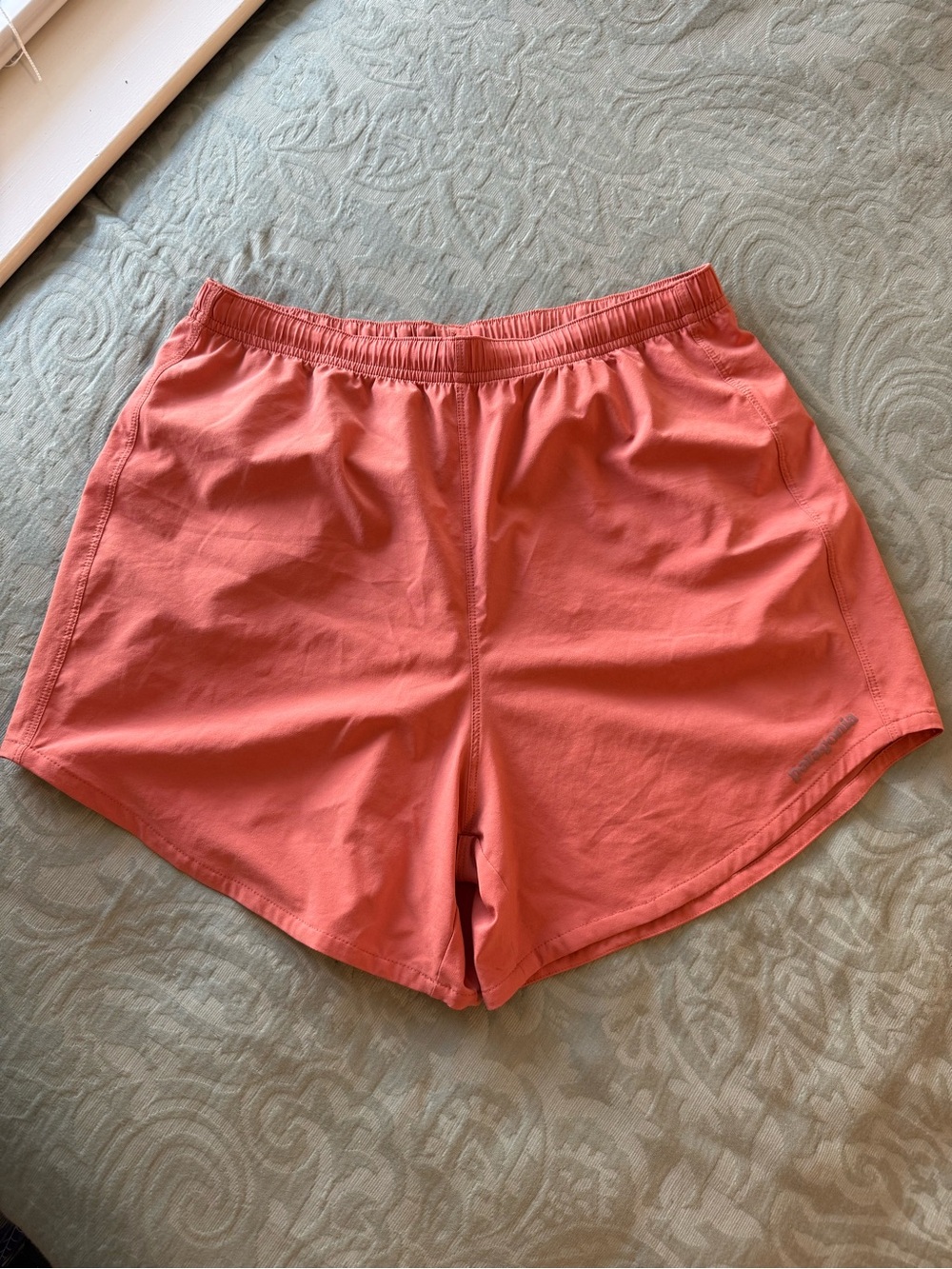 Patagonia Shorts